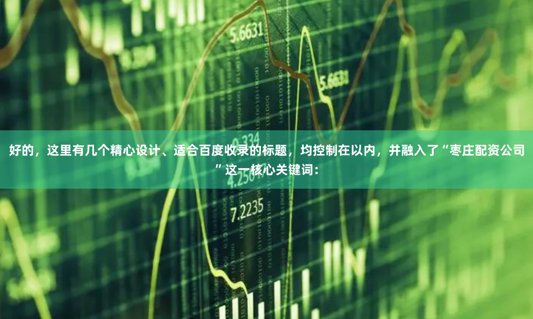 好的，这里有几个精心设计、适合百度收录的标题，均控制在以内，并融入了“枣庄配资公司”这一核心关键词：
