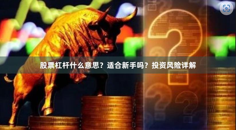 股票杠杆什么意思？适合新手吗？投资风险详解